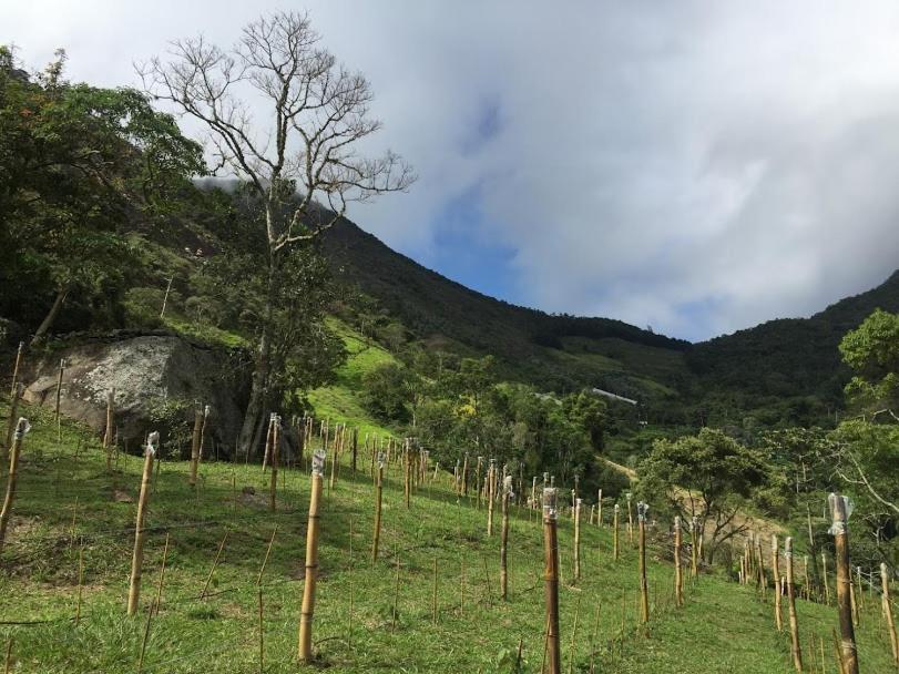 Pousada Quinta Das Nascentes Petrópolis Exterior foto